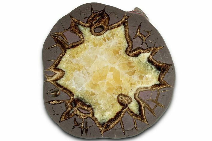 Polished Purple Septarian Slab - Utah #318129